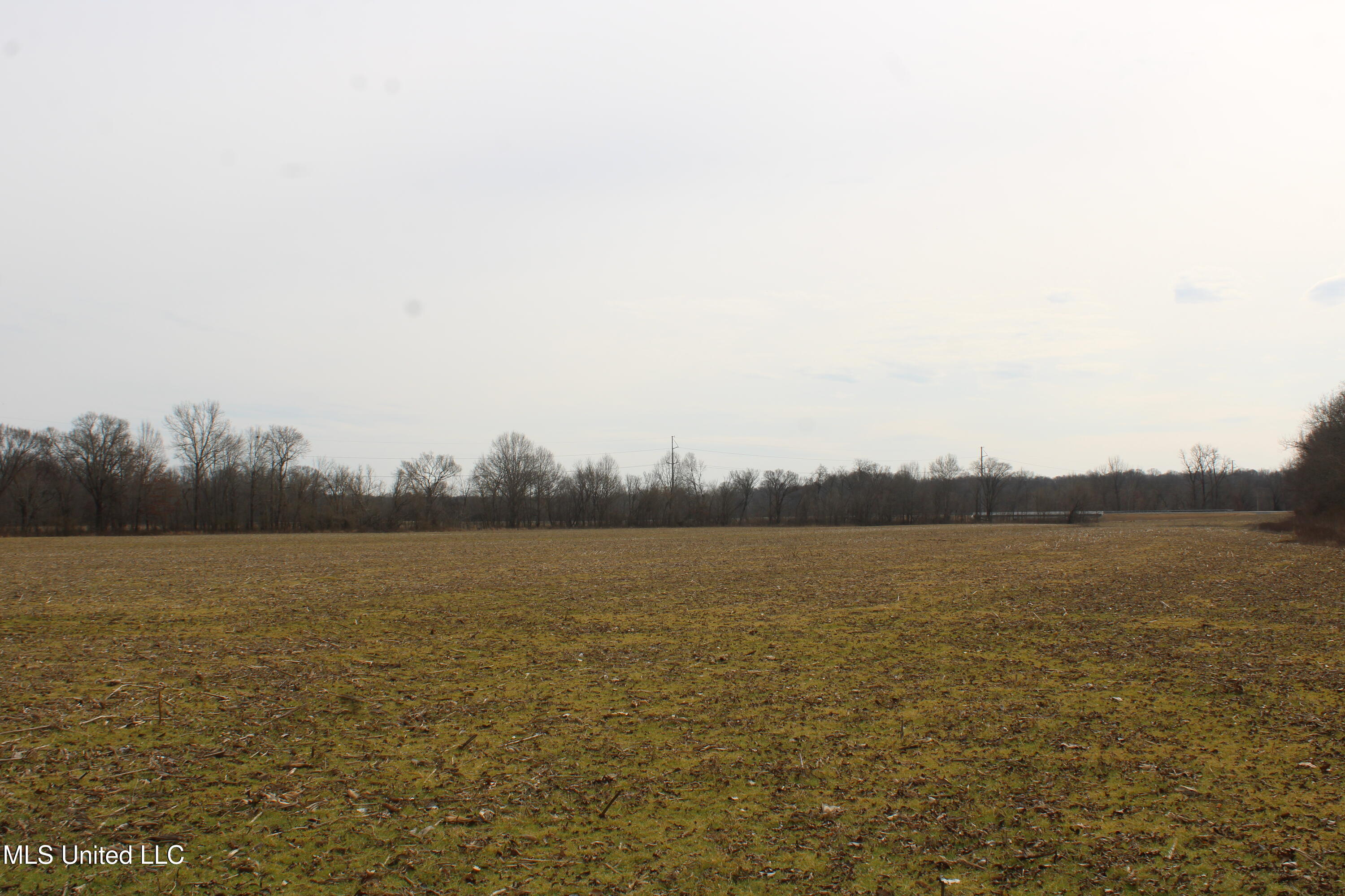 6000 Austin Road Walls, MS 38680 - Photo 5 of 20 IMG_7264