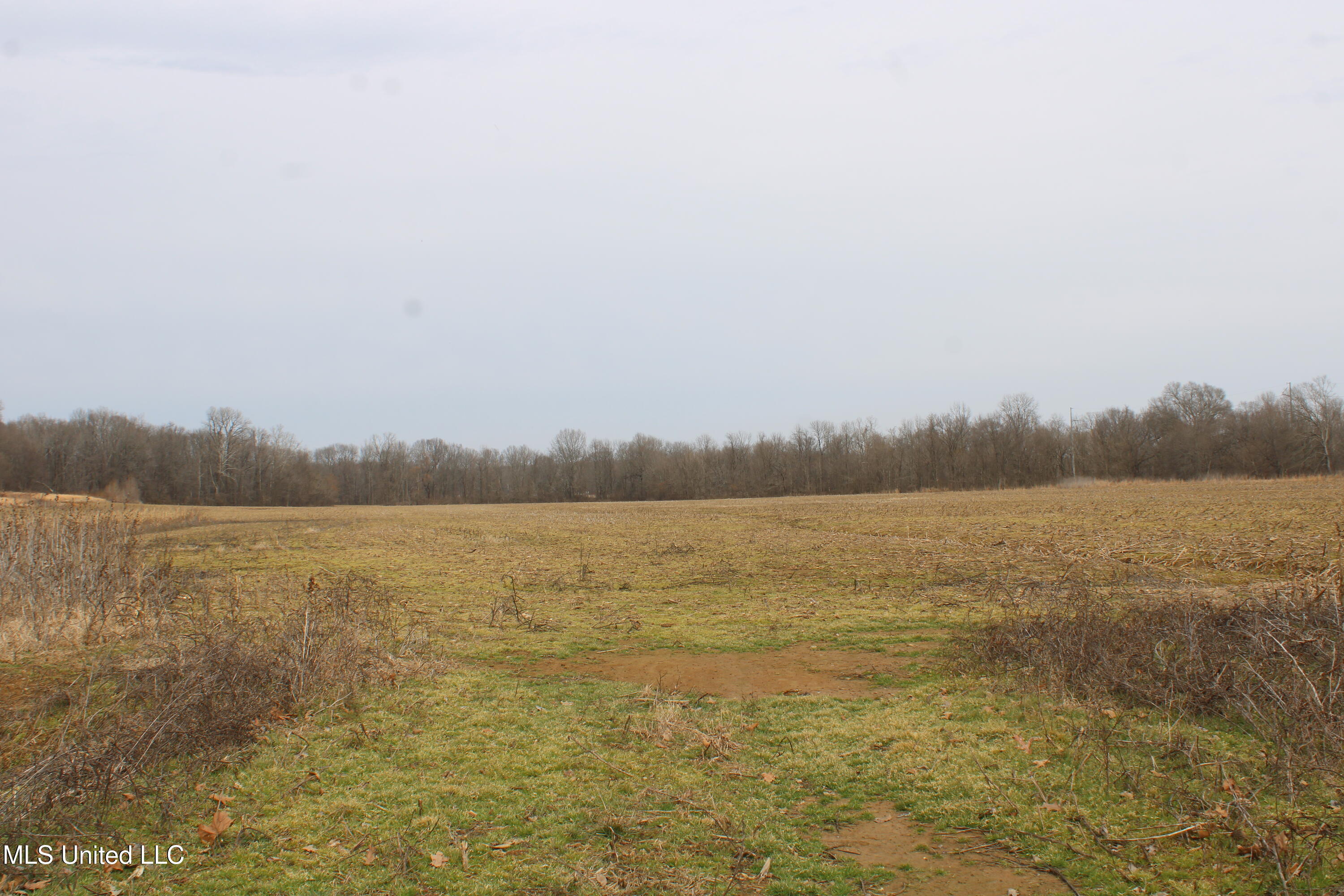 6000 Austin Road Walls, MS 38680 - Photo 6 of 20 IMG_7265