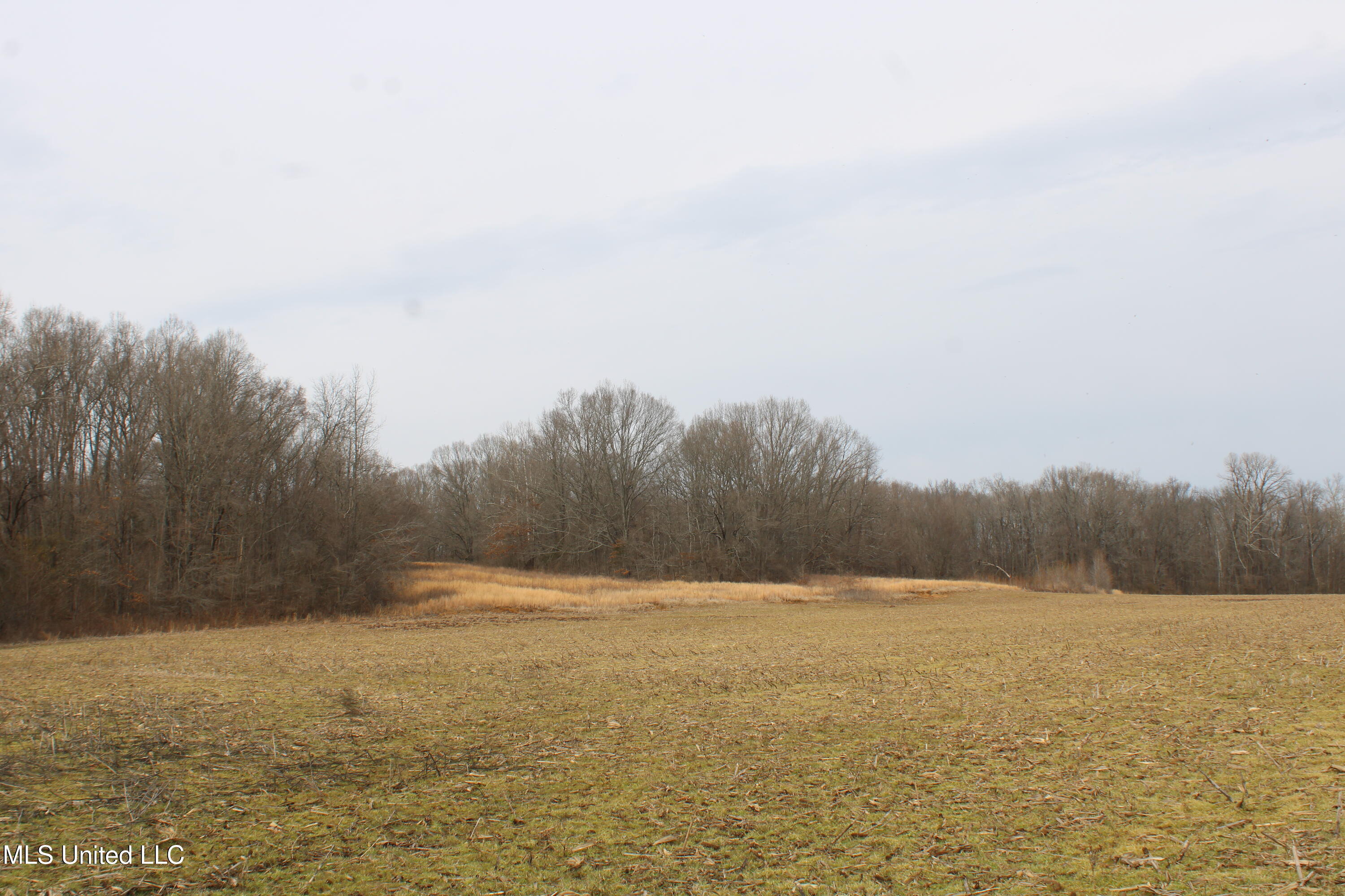 6000 Austin Road Walls, MS 38680 - Photo 9 of 20 IMG_7268