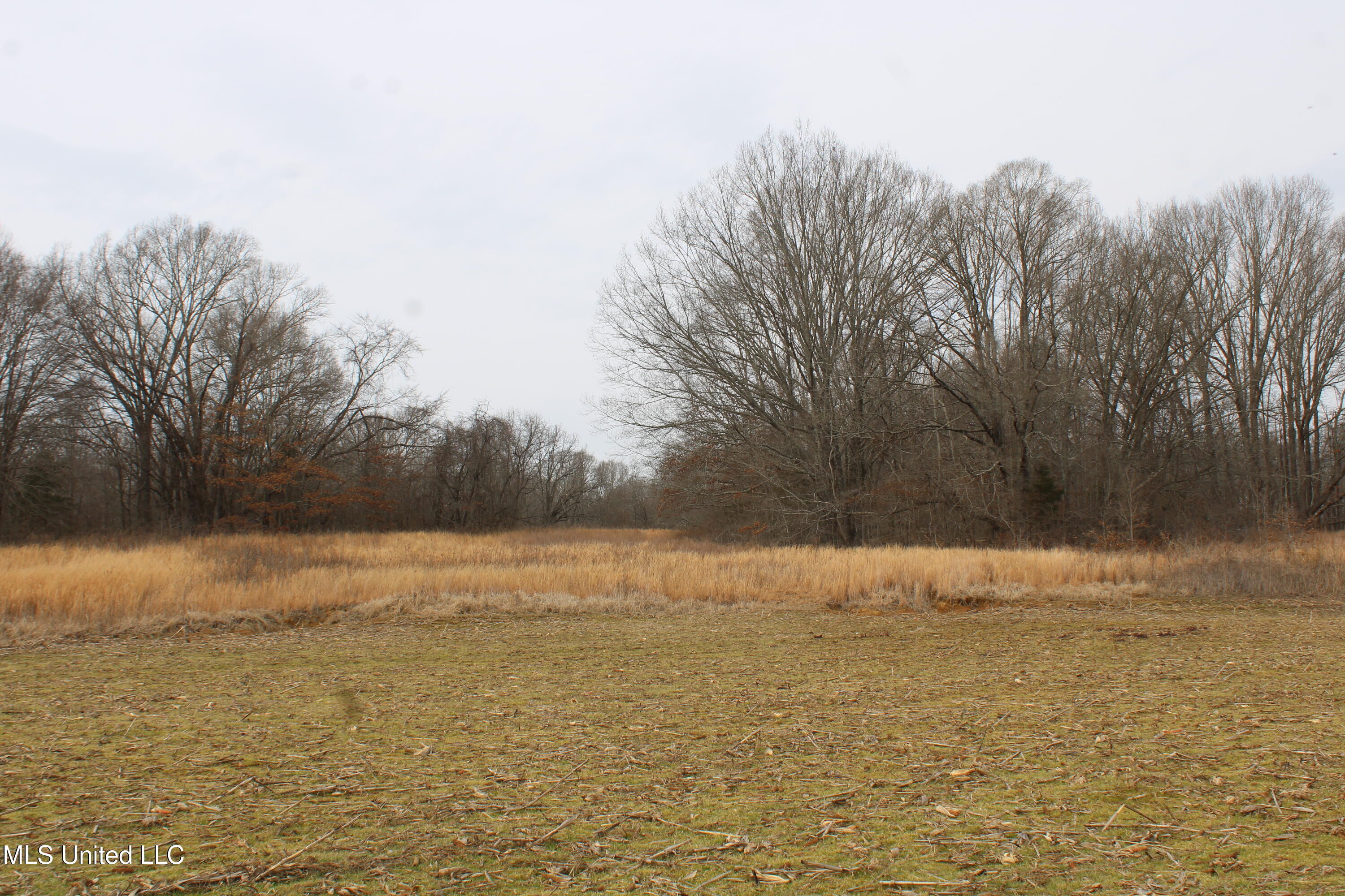 6000 Austin Road Walls, MS 38680 - Photo 10 of 20 IMG_7269