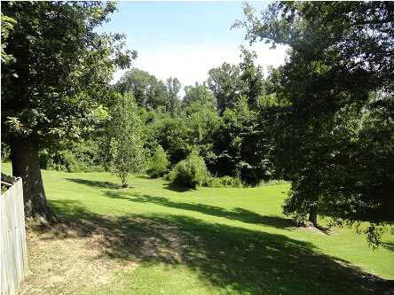2123 Ridge Road Yazoo City, MS 39194 - Photo 46 of 46 View from the covered areas.