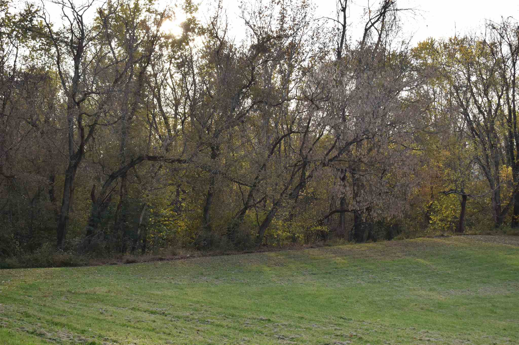 Rabbit Hash Rd Union Burlington, KY 41005 - Photo 14 of 24 Gallery Image 14
