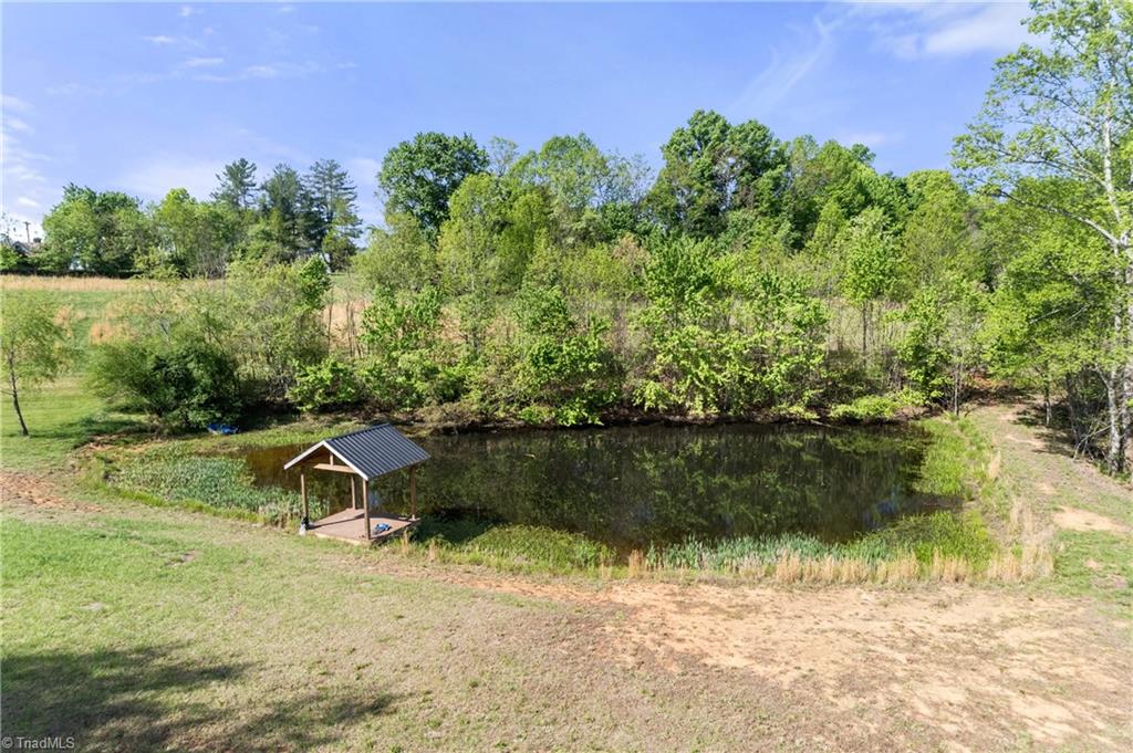 1561 Horseshoe Road Westfield, NC 27053 - Photo 45 of 49
