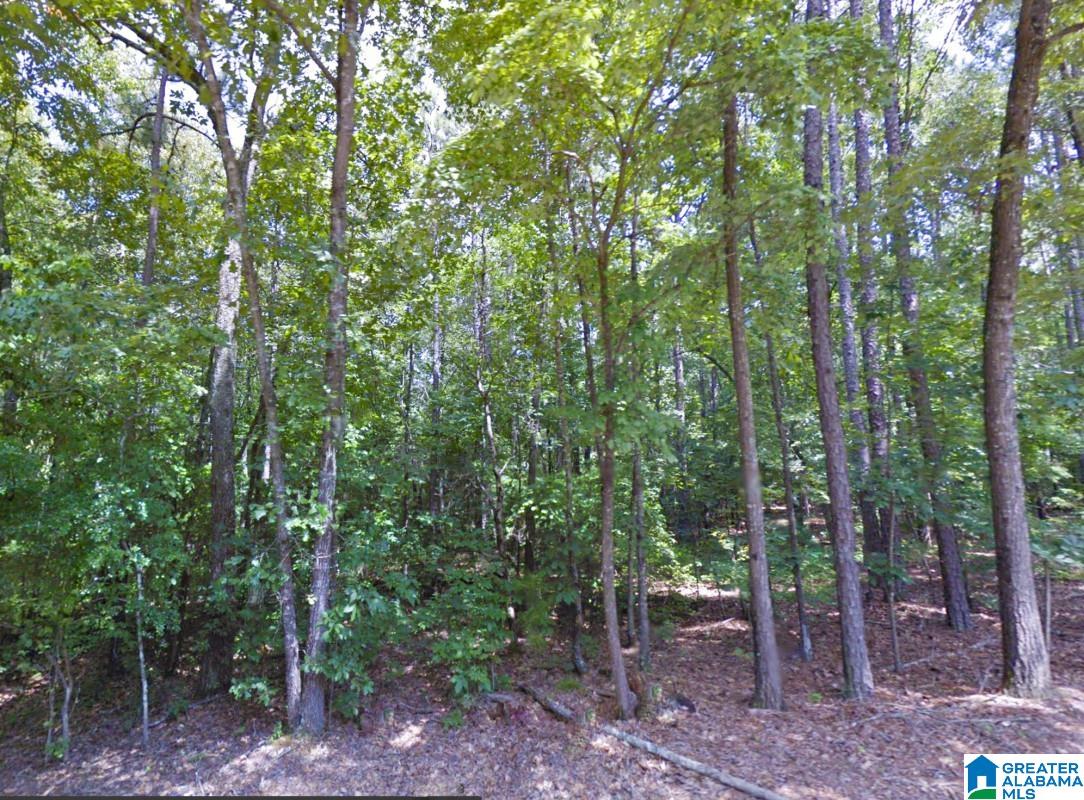 Renfroe Road Alpine, AL 35014 - Photo 7 of 14