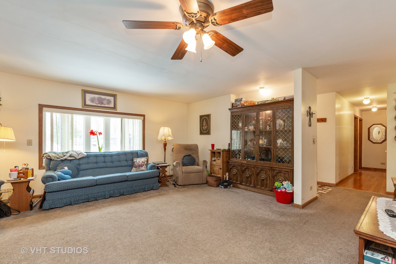 41W550 Lenz Road Elgin, IL 60124 - Photo 9 of 22