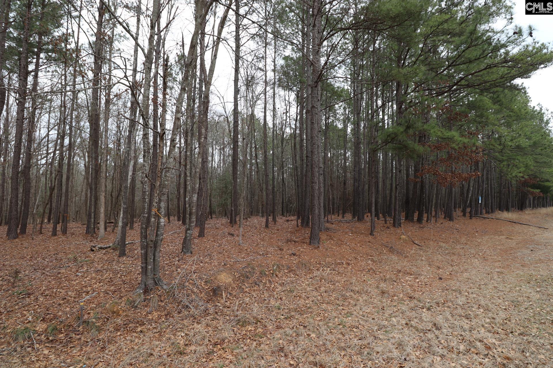 Lot 229 Granny Hill Road Prosperity, SC 29127 - Photo 41 of 61