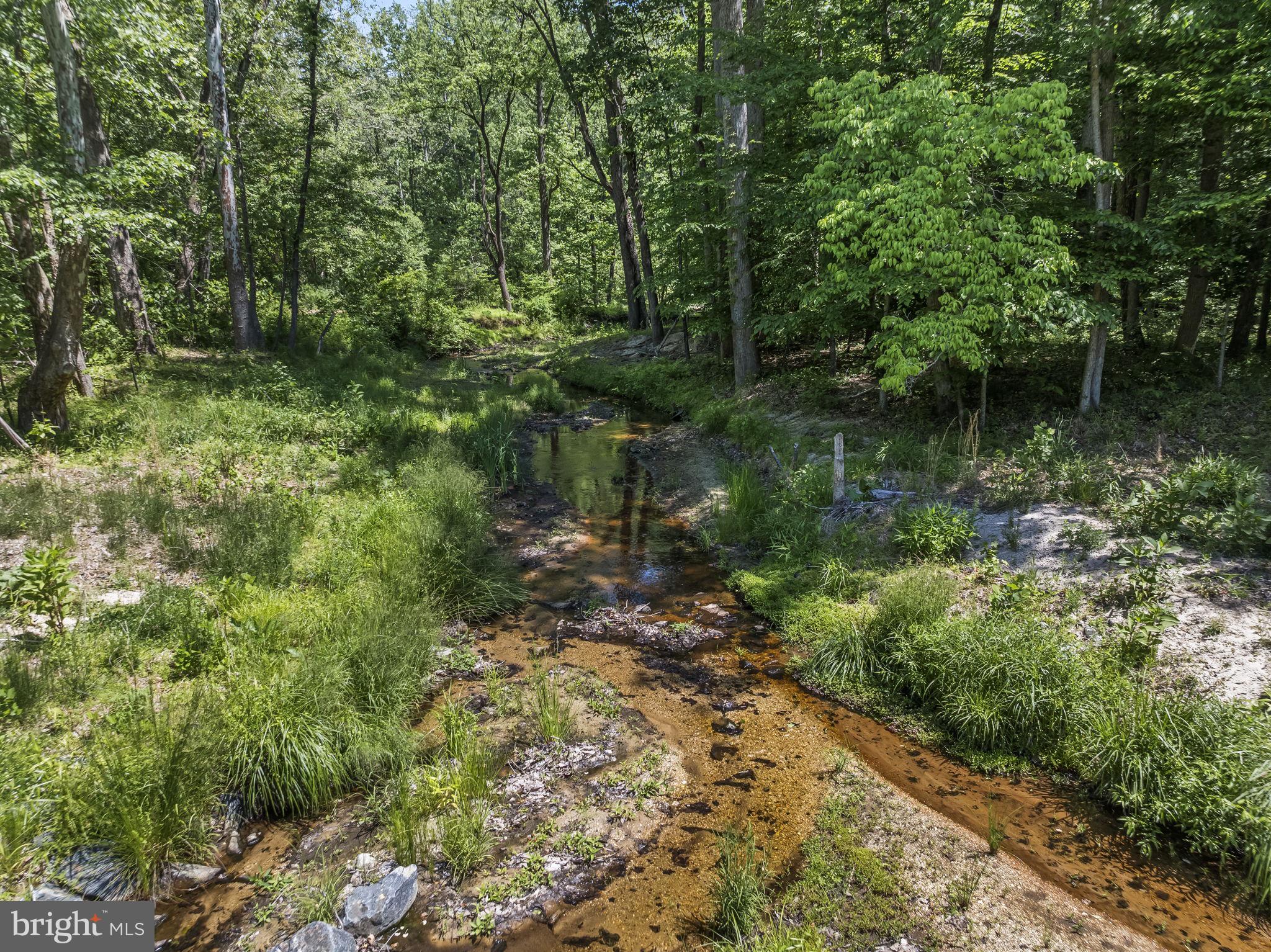 15690 Nelson Perrie Road Brandywine, MD 20613 - Photo 15 of 19 a view of a garden with a lake