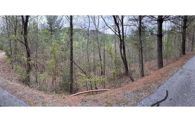 54 Choctaw Rdg Trail Murphy, NC 28906 - Photo 1 of 4 Main View