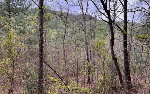 54 Choctaw Rdg Trail Murphy, NC 28906 - Photo 3 of 4 Additional View
