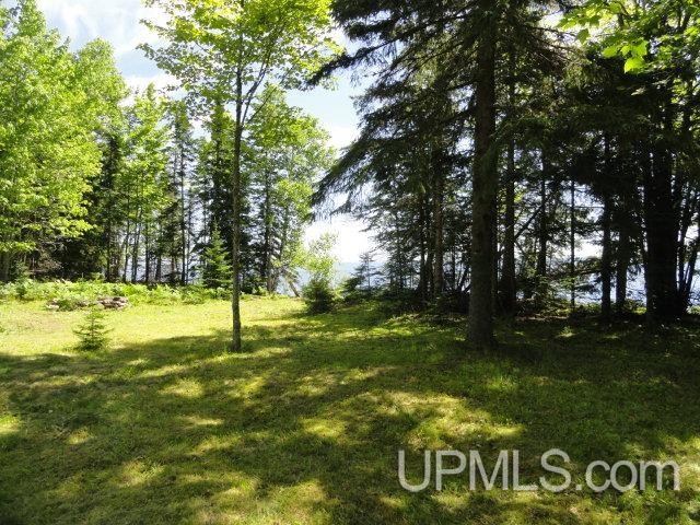 Tbd Puuri Road Baraga, MI 49908 - Photo 8 of 20