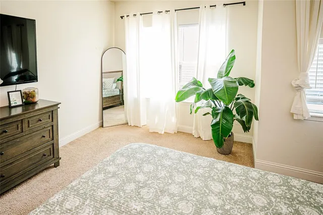 a bedroom with a bed potted plant with the mirror