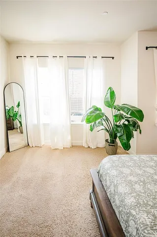 a view of a potted plant in a room