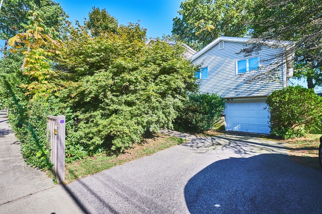 295 Spiers Road Newton, MA 02459 - Photo 3 of 24 Gallery Image 3