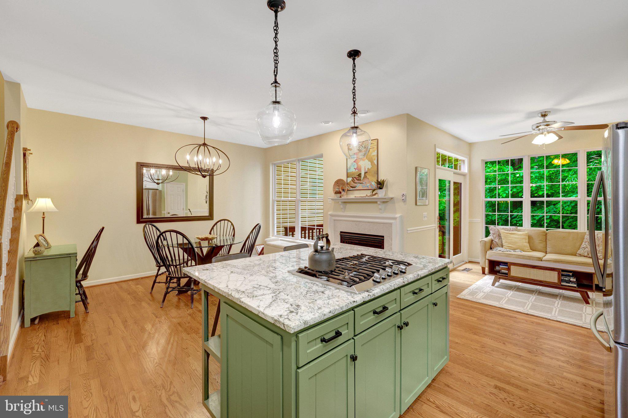 1224 Wild Hawthorn Way Reston, VA 20194 - Photo 20 of 71 Expanded Center Island