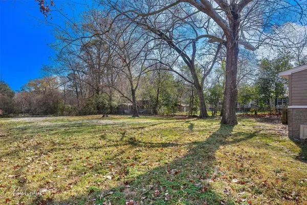 a view of a backyard with large trees