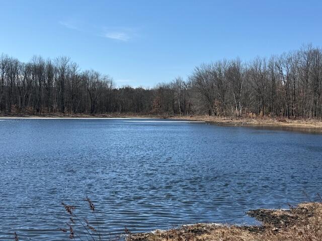 Undisclosed Address Mecosta, MI 49332 - Photo 1 of 5 image0 (1)