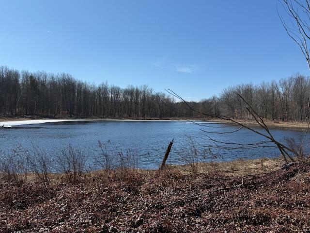 Undisclosed Address Mecosta, MI 49332 - Photo 2 of 5 image1 (1)