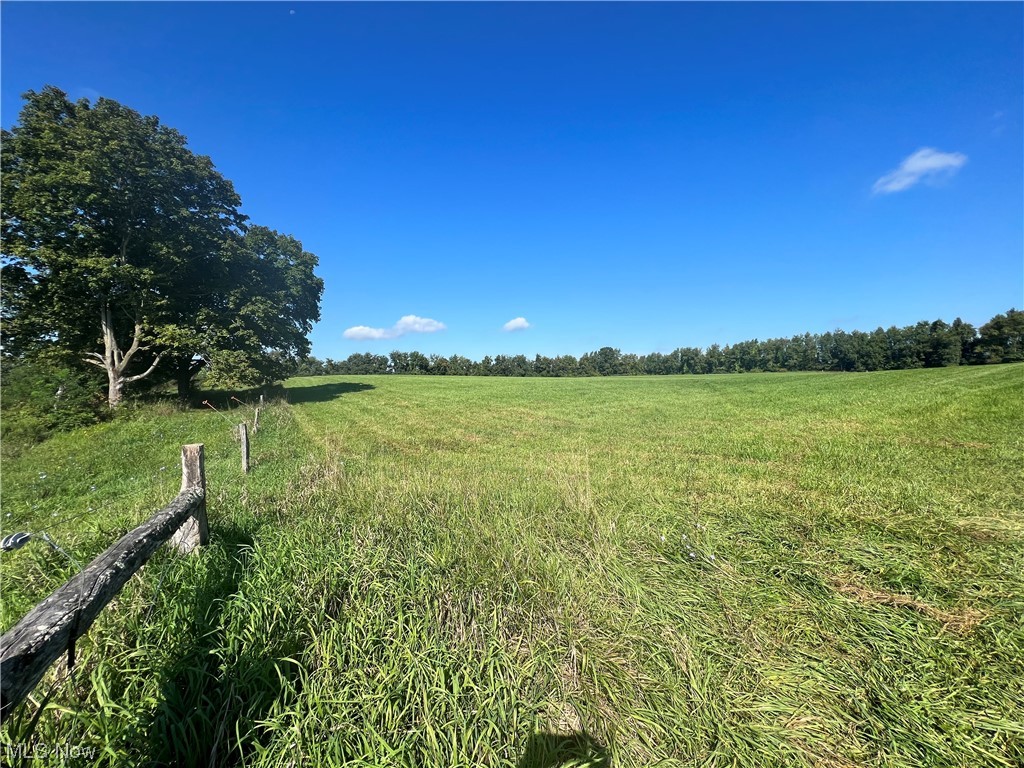 Raymond Road Salesville, OH 43778 - Photo 3 of 10 View of nature