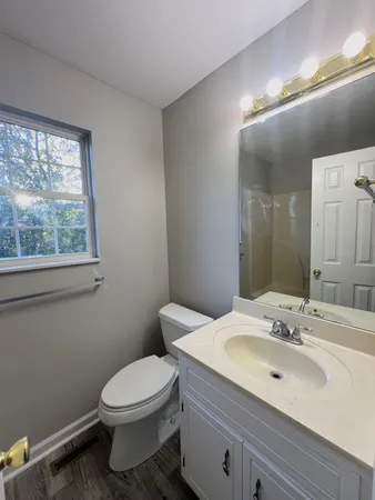 a bathroom with a toilet a sink and mirror
