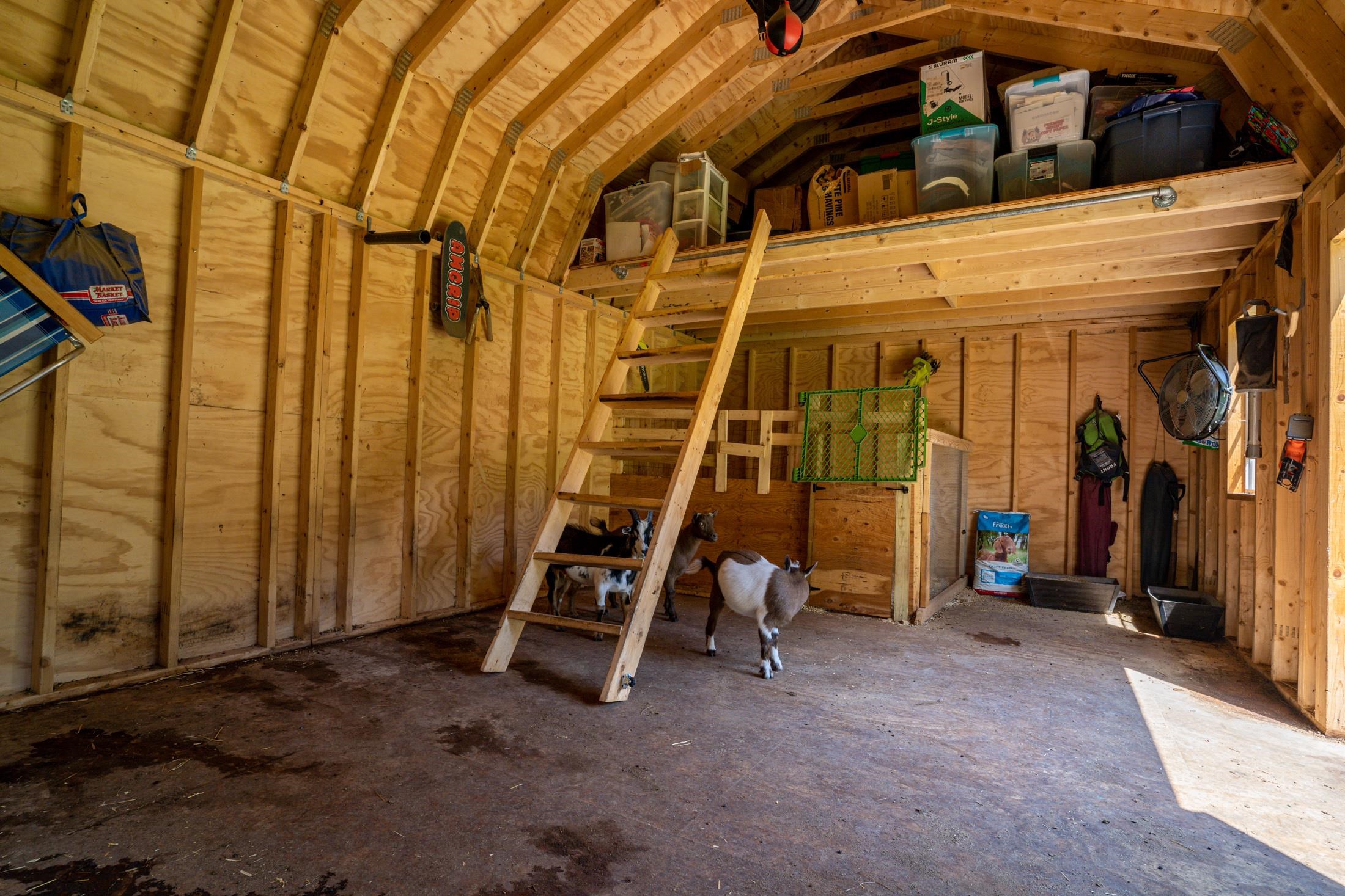 10 New Road Windham, NH 03087 - Photo 33 of 36