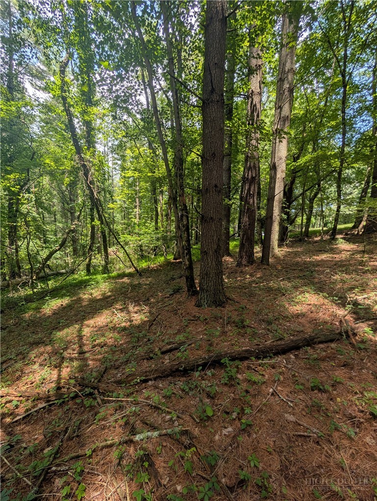 Doell Lane, Unit 20 Sparta, NC 28675 - Photo 12 of 18