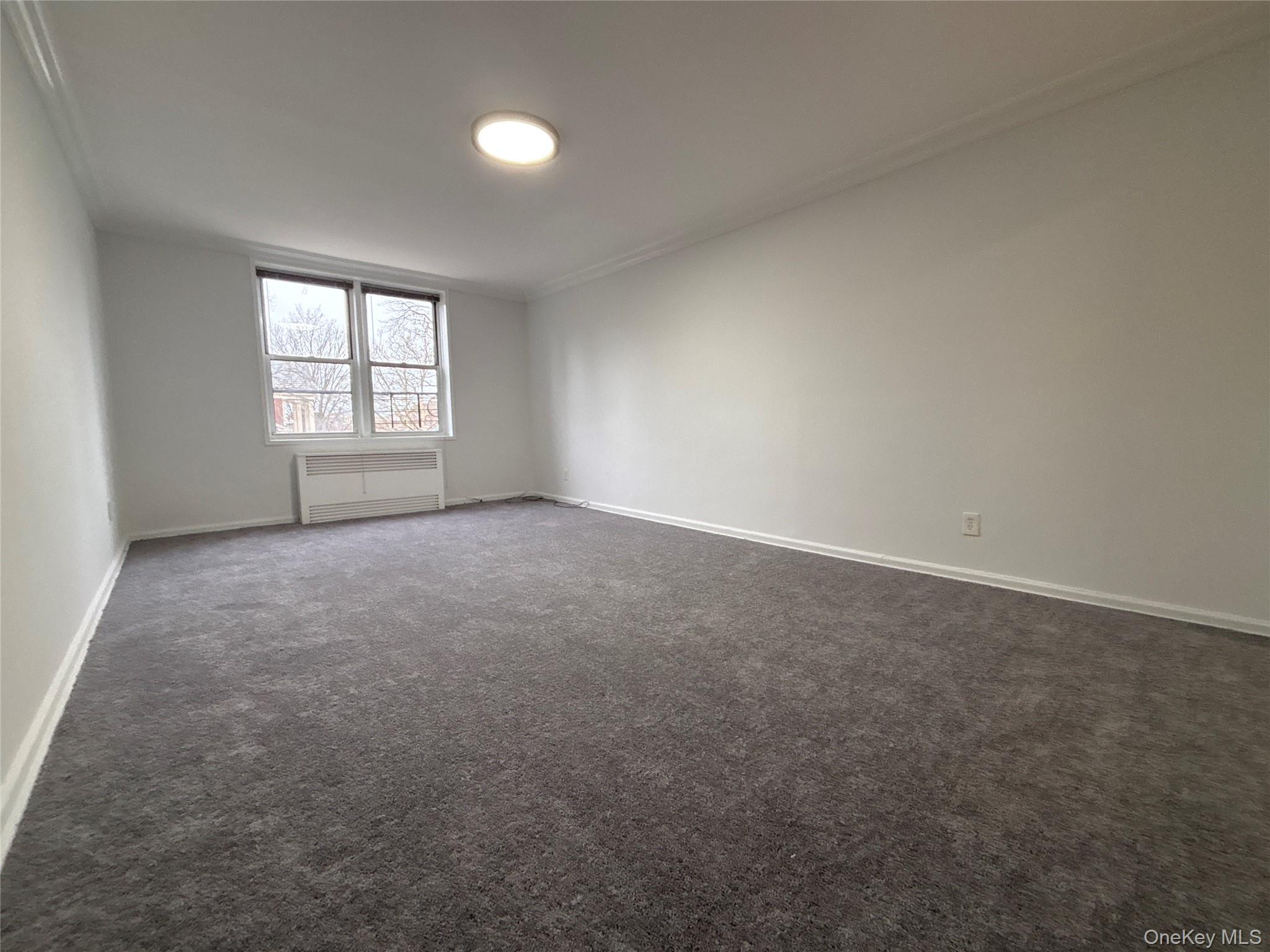 50 South Middle Neck Road, Unit 1P Great Neck, NY 11021 - Photo 6 of 22 XL living room with high sunny view (tons of light) and brand new carpeting
