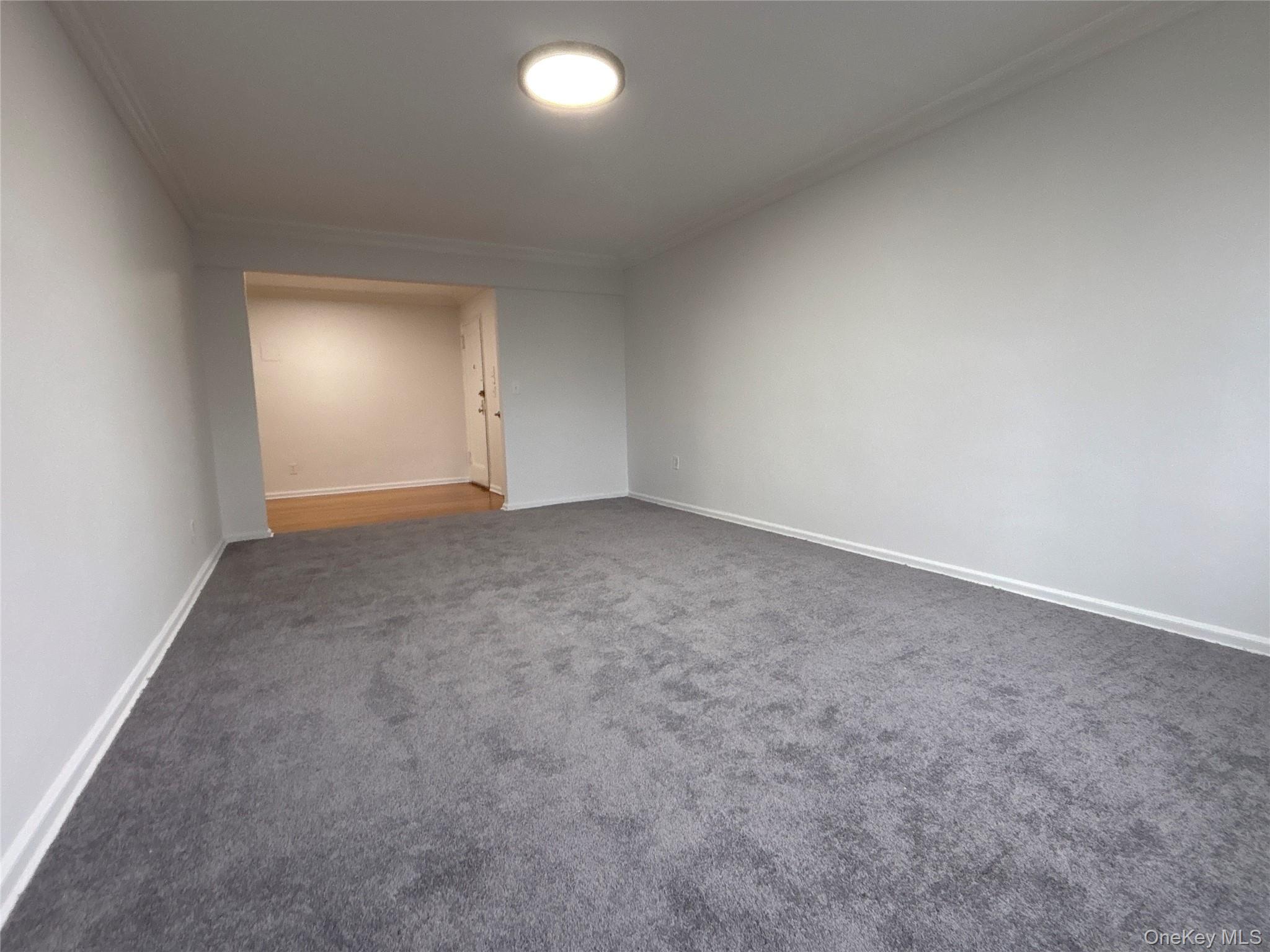 50 South Middle Neck Road, Unit 1P Great Neck, NY 11021 - Photo 7 of 22 XL living room with brand new carpeting