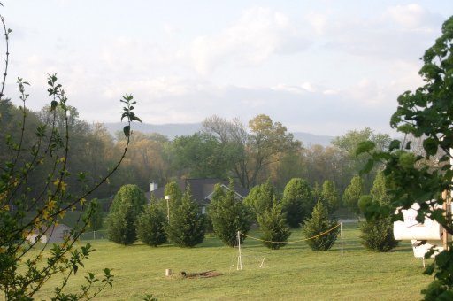 4162 Pea Ridge Road Maryville, TN 37804 - Photo 6 of 40 Additional Photo