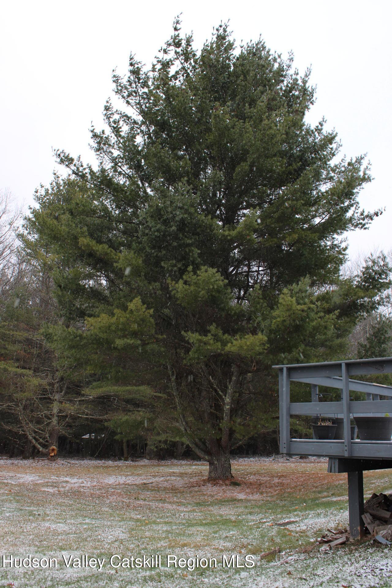 477 Campbell Road Windham, NY 12496 - Photo 37 of 45 a view of backyard with seating space