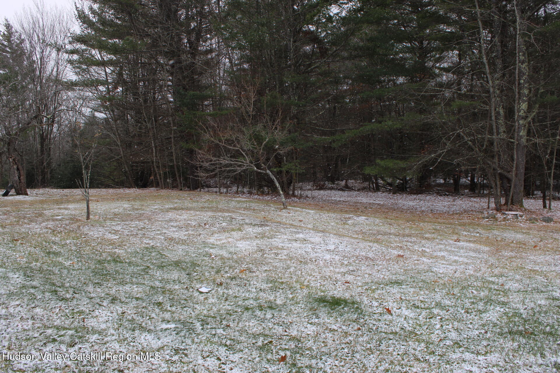 477 Campbell Road Windham, NY 12496 - Photo 38 of 45 a view of outdoor space with trees
