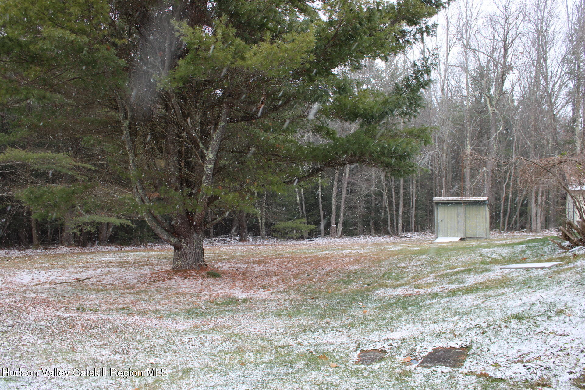 477 Campbell Road Windham, NY 12496 - Photo 40 of 45 a fire hydrant in the middle of a field