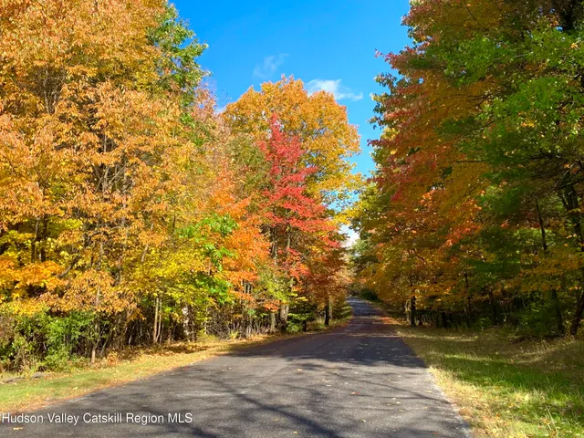 a view of swimming pool with an outdoor space