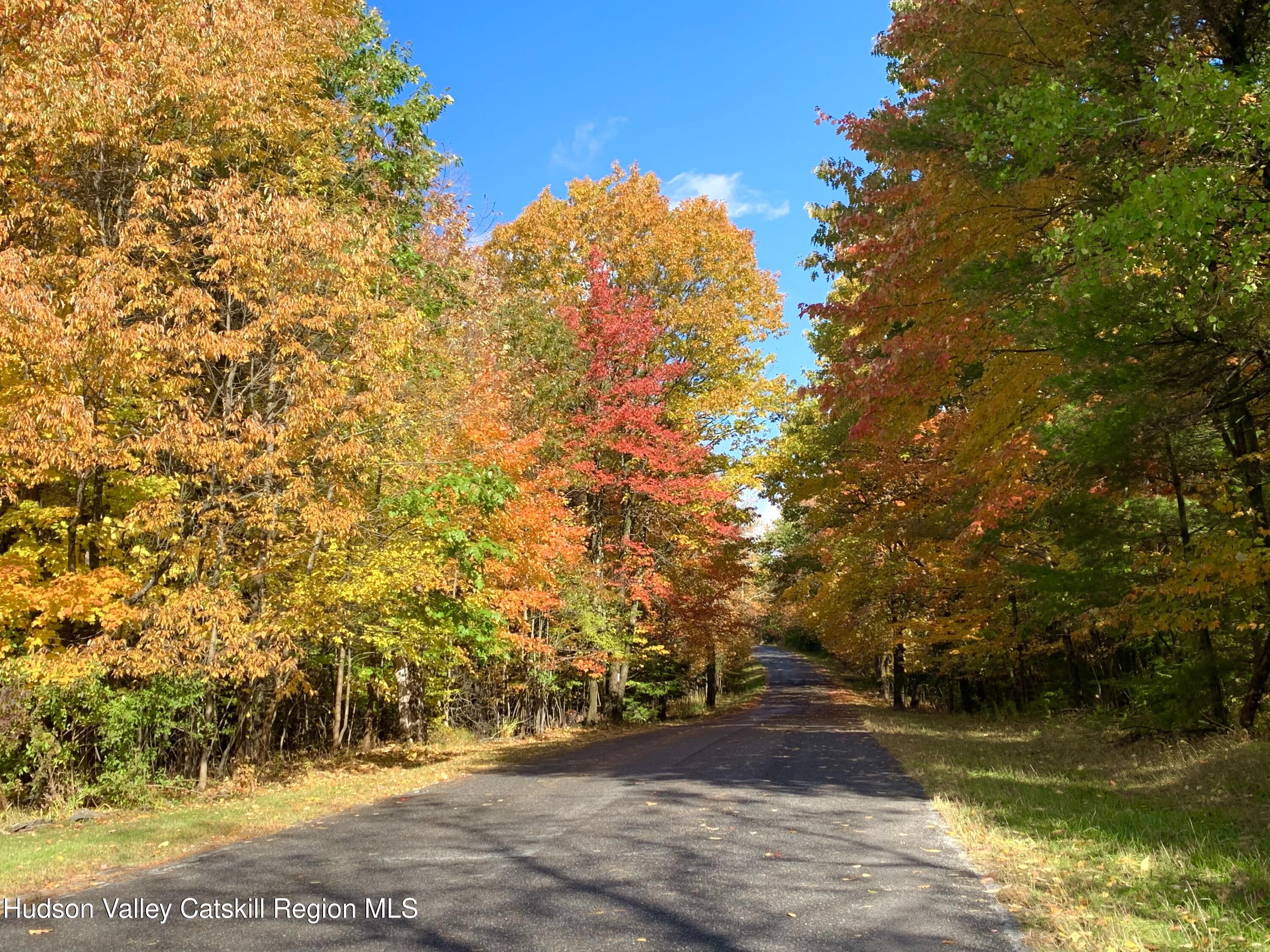 477 Campbell Road Windham, NY 12496 - Photo 4 of 45 a view of swimming pool with an outdoor space