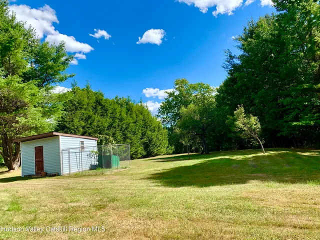 a picture of flowers