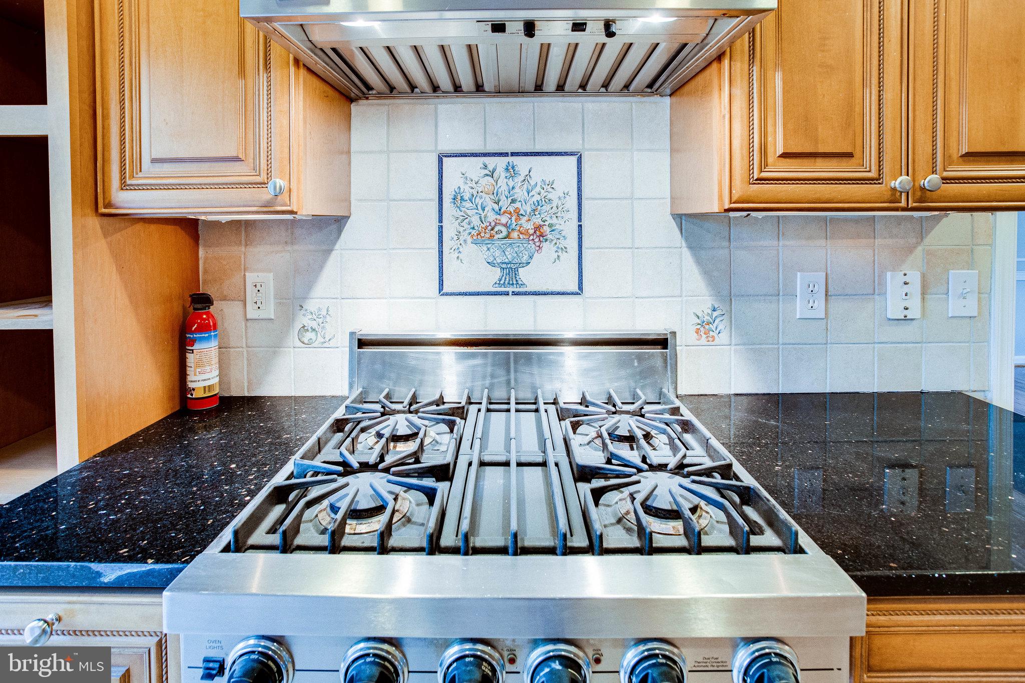 12220 St James Road Potomac, MD 20854 - Photo 11 of 69 Viking stove