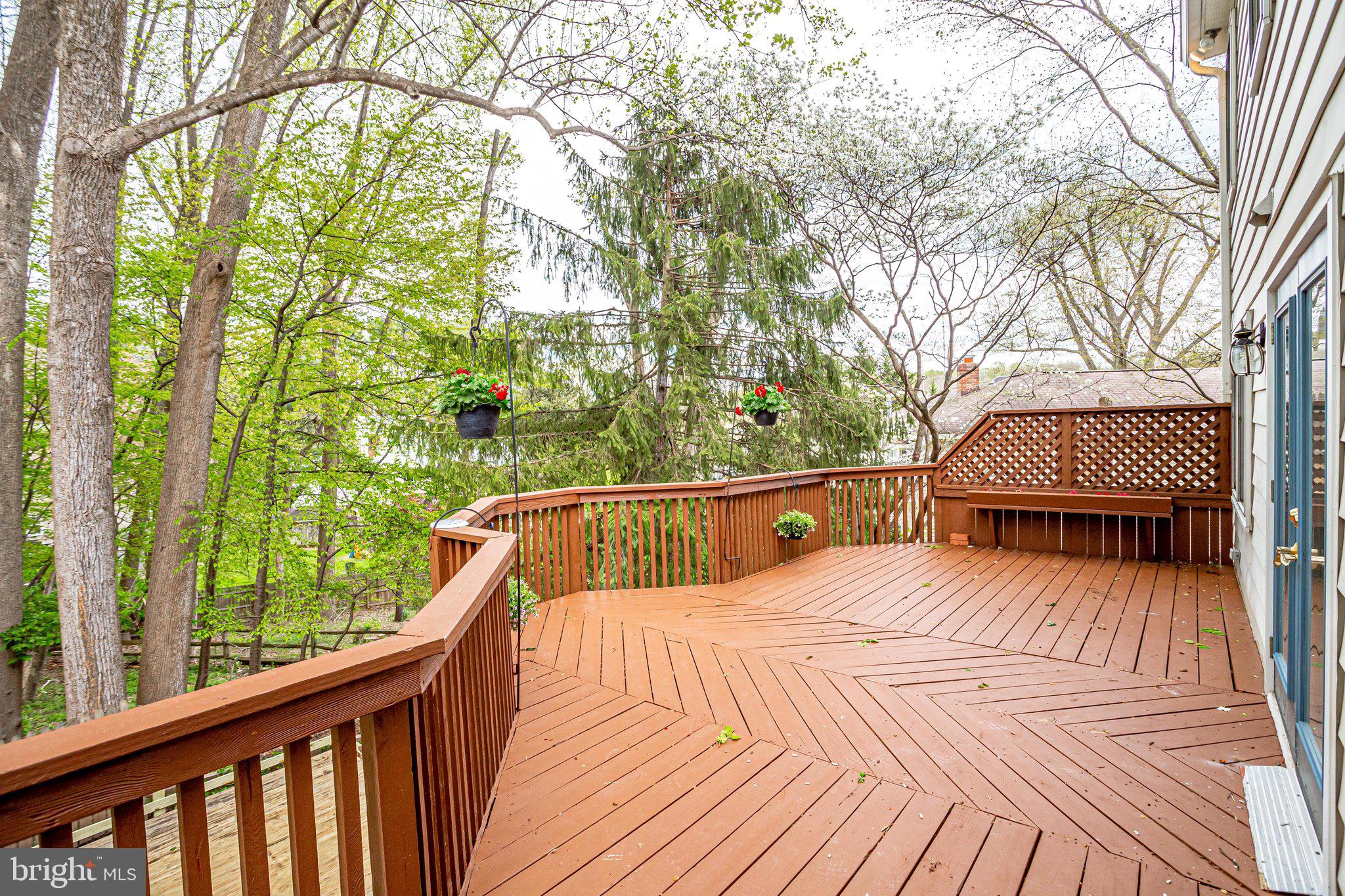12220 St James Road Potomac, MD 20854 - Photo 56 of 69 Deck overlooking park like yard