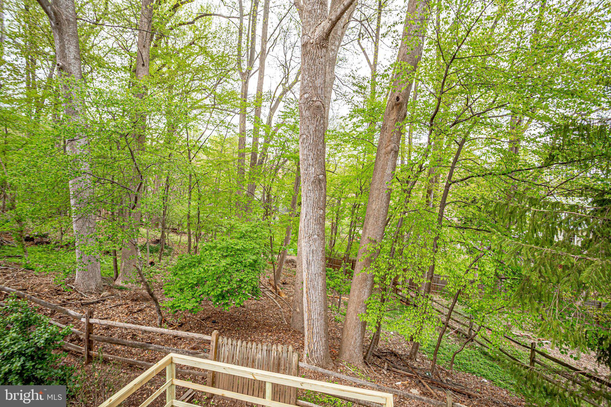 12220 St James Road Potomac, MD 20854 - Photo 65 of 69 Wooded back yard