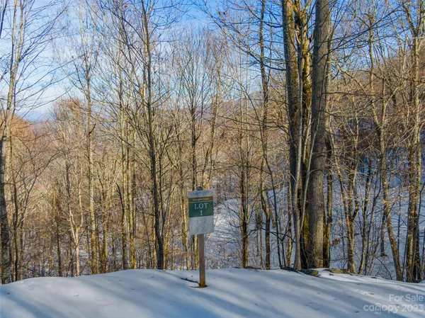 $100,000 | Lot 1 Mountain Gait Drive, Mars Hill, NC 28754