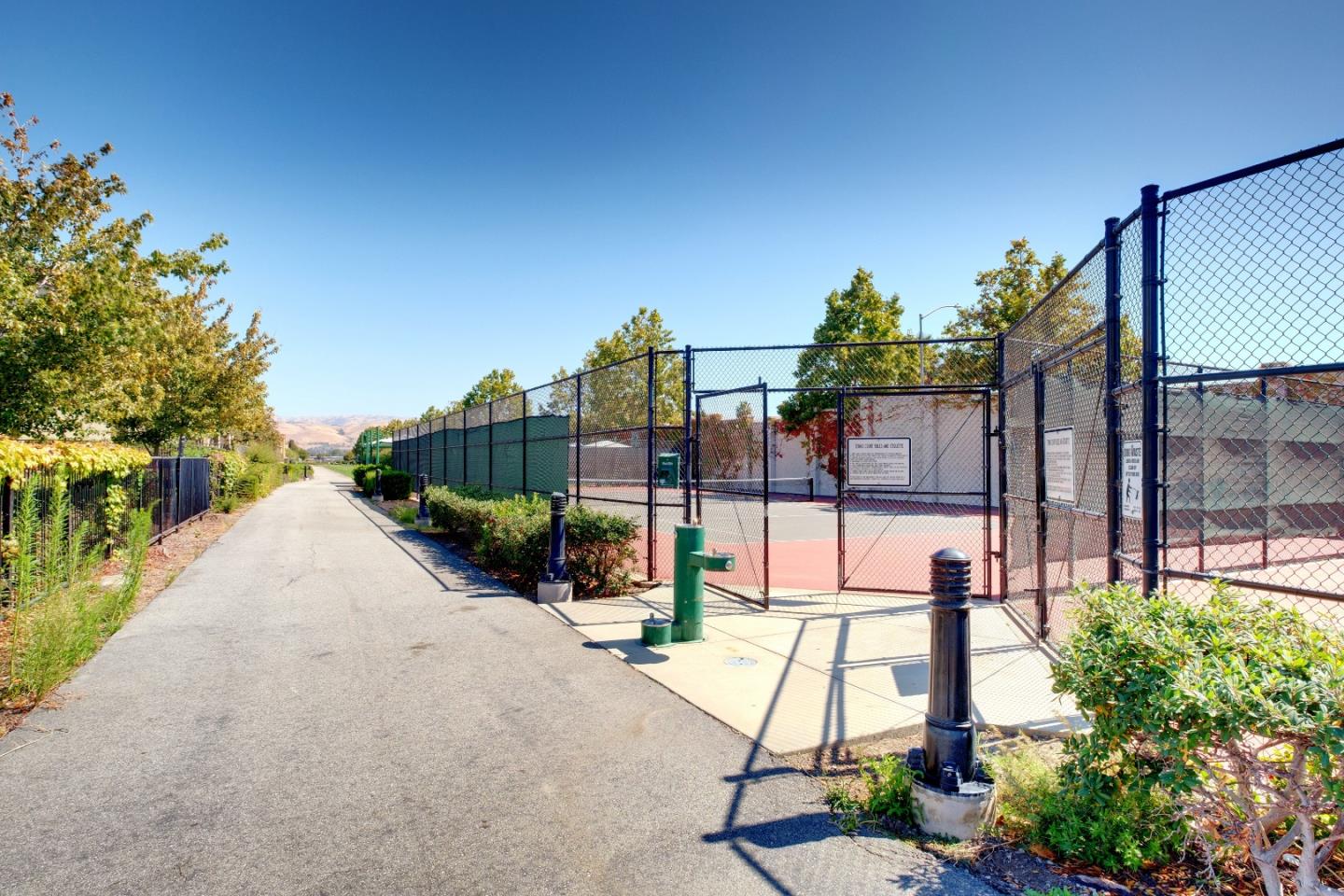 738 Claridad Loop Milpitas, CA 95035 - Photo 49 of 53 a view of a street with a palm tree