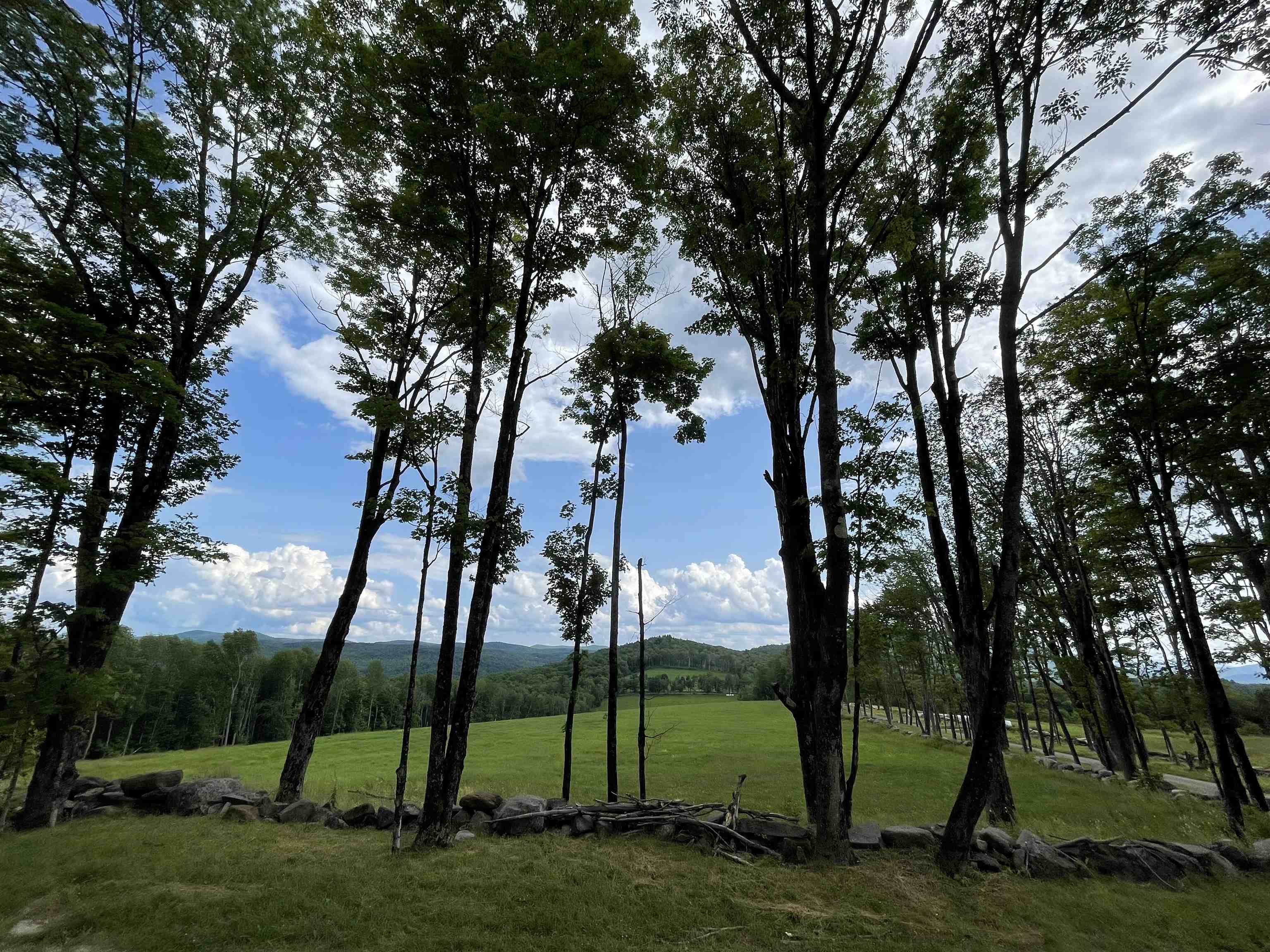 0 Marsh Cross Road Andover, VT 05143 - Photo 11 of 42