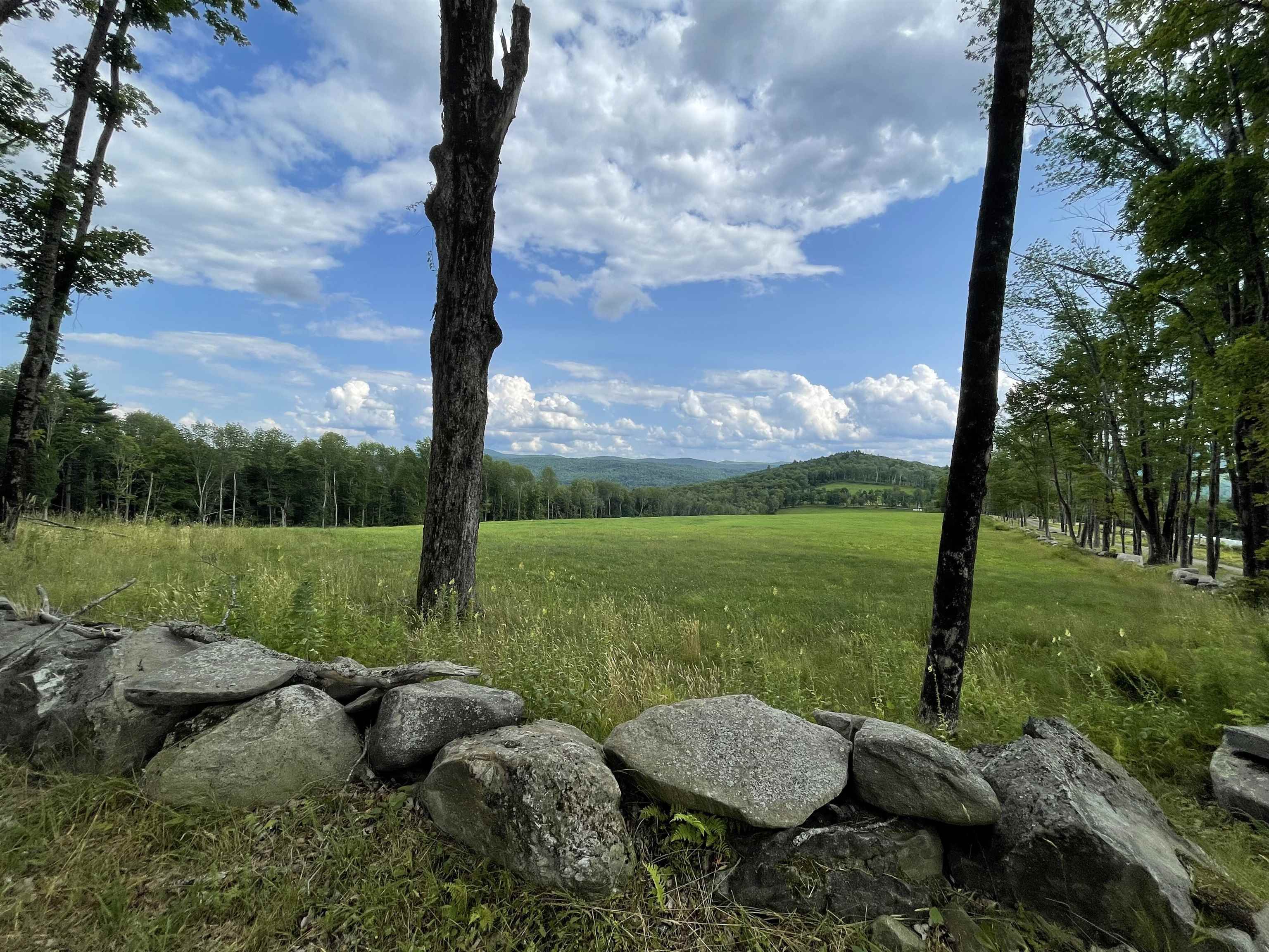 0 Marsh Cross Road Andover, VT 05143 - Photo 13 of 42