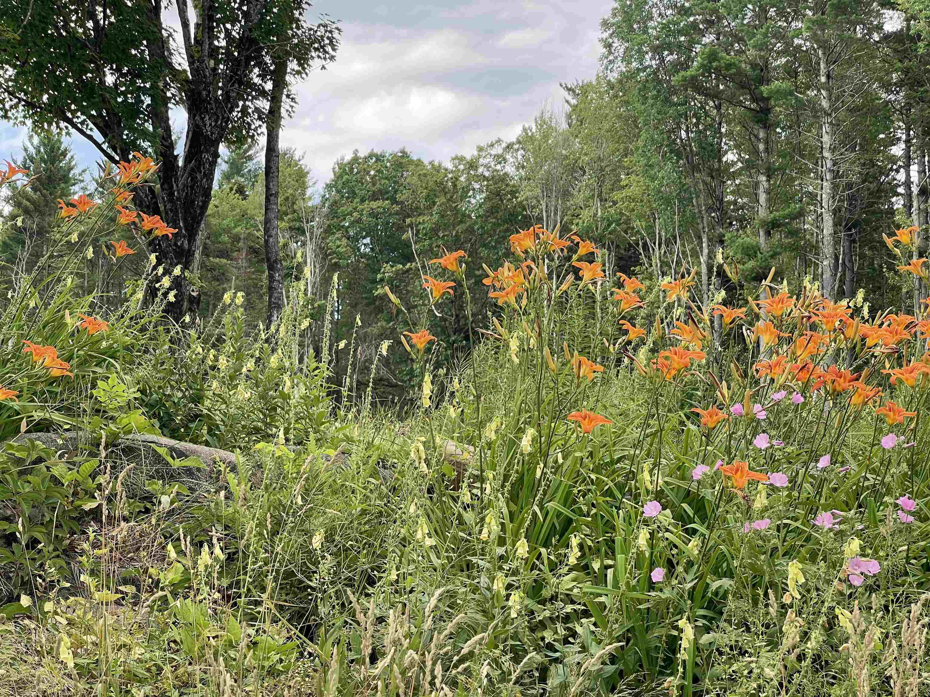 0 Marsh Cross Road Andover, VT 05143 - Photo 18 of 42