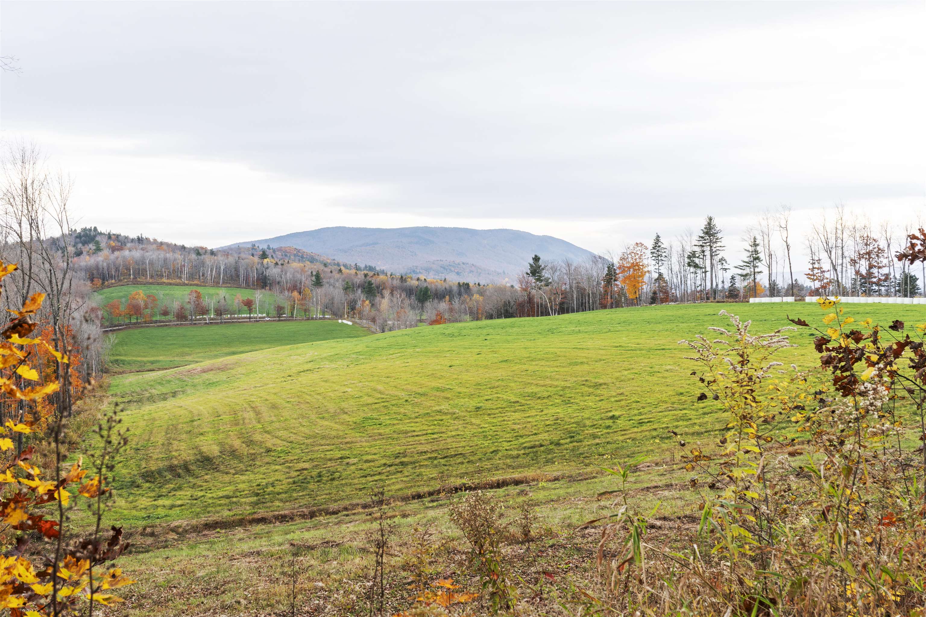 0 Marsh Cross Road Andover, VT 05143 - Photo 30 of 42