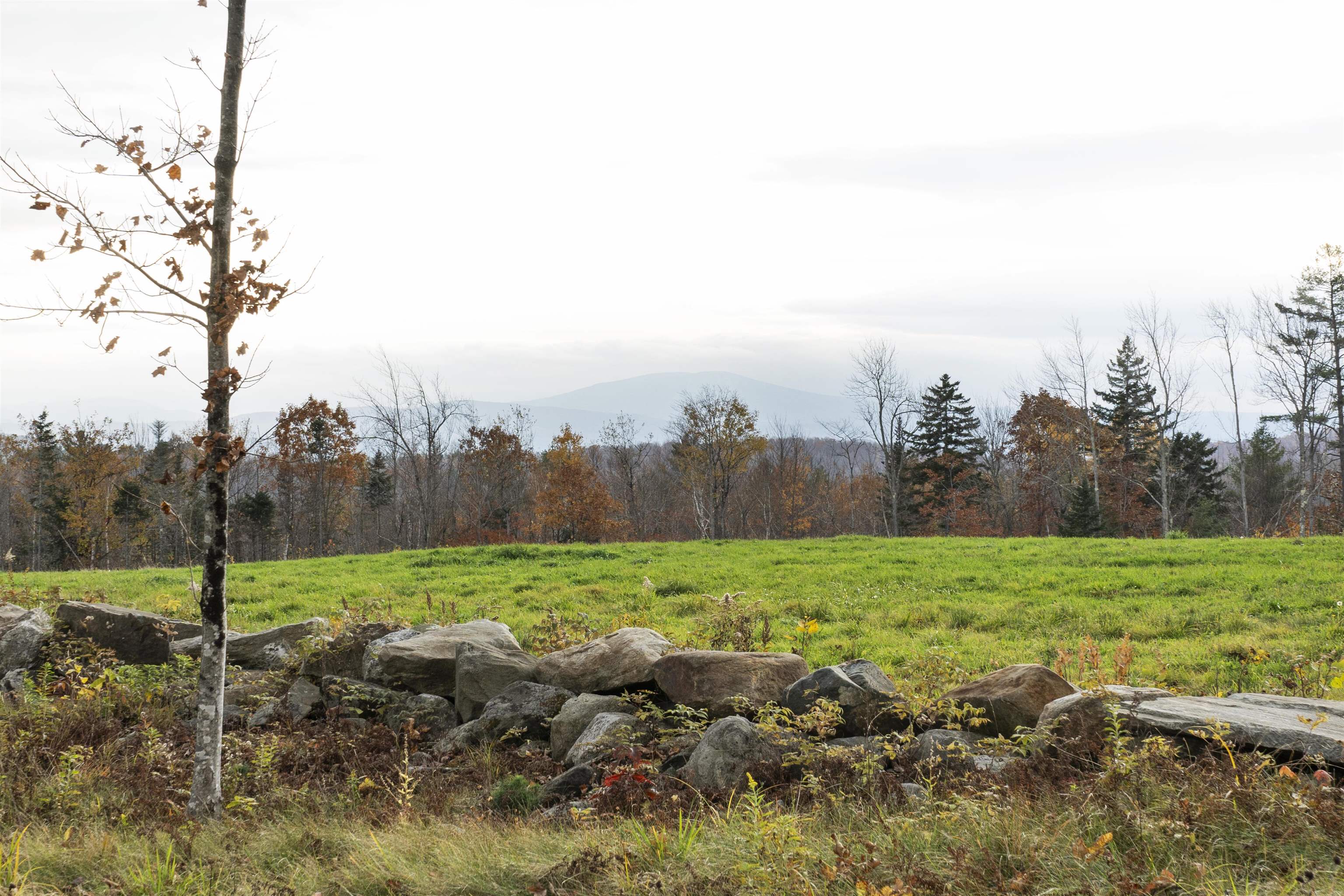 0 Marsh Cross Road Andover, VT 05143 - Photo 31 of 42