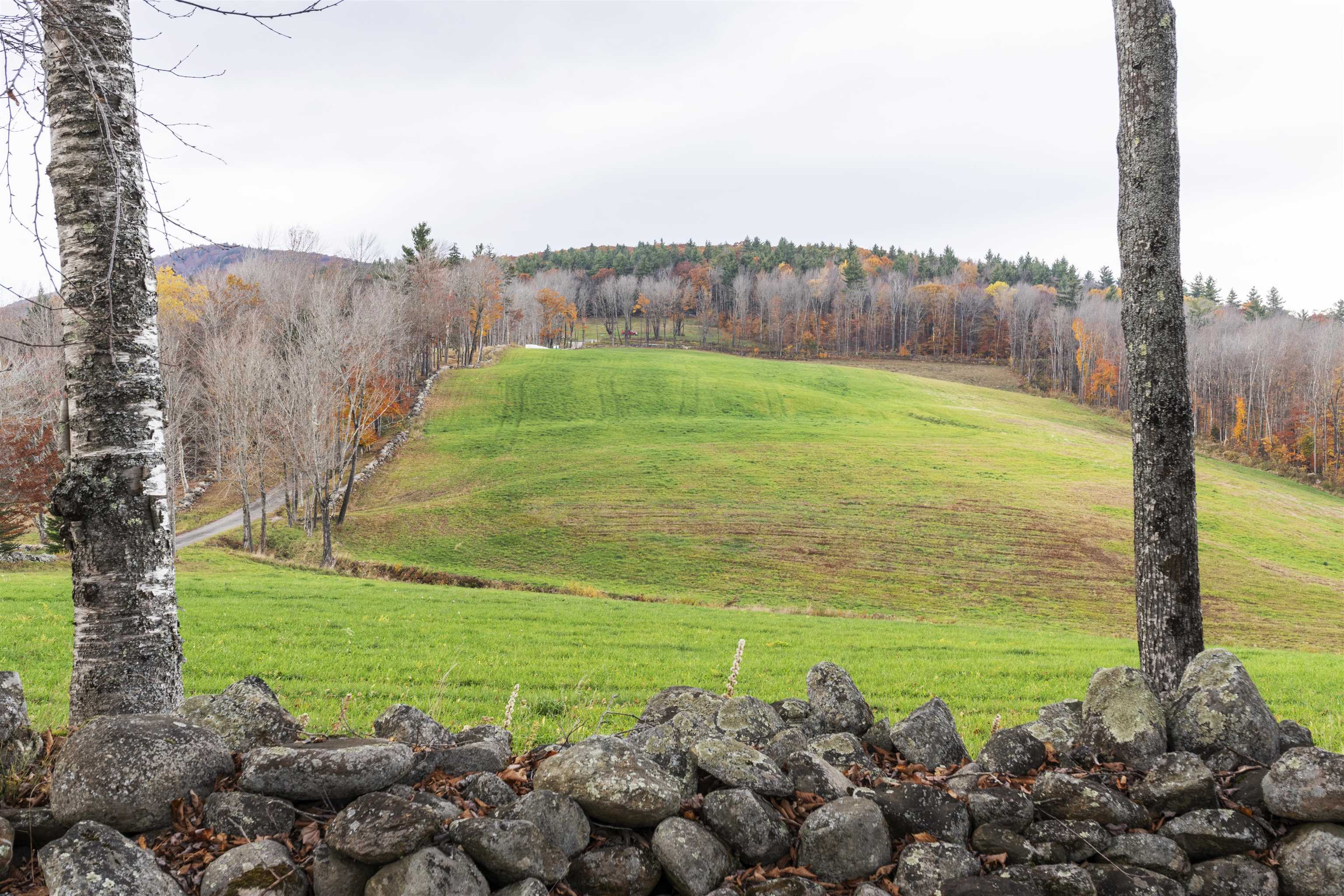 0 Marsh Cross Road Andover, VT 05143 - Photo 40 of 42