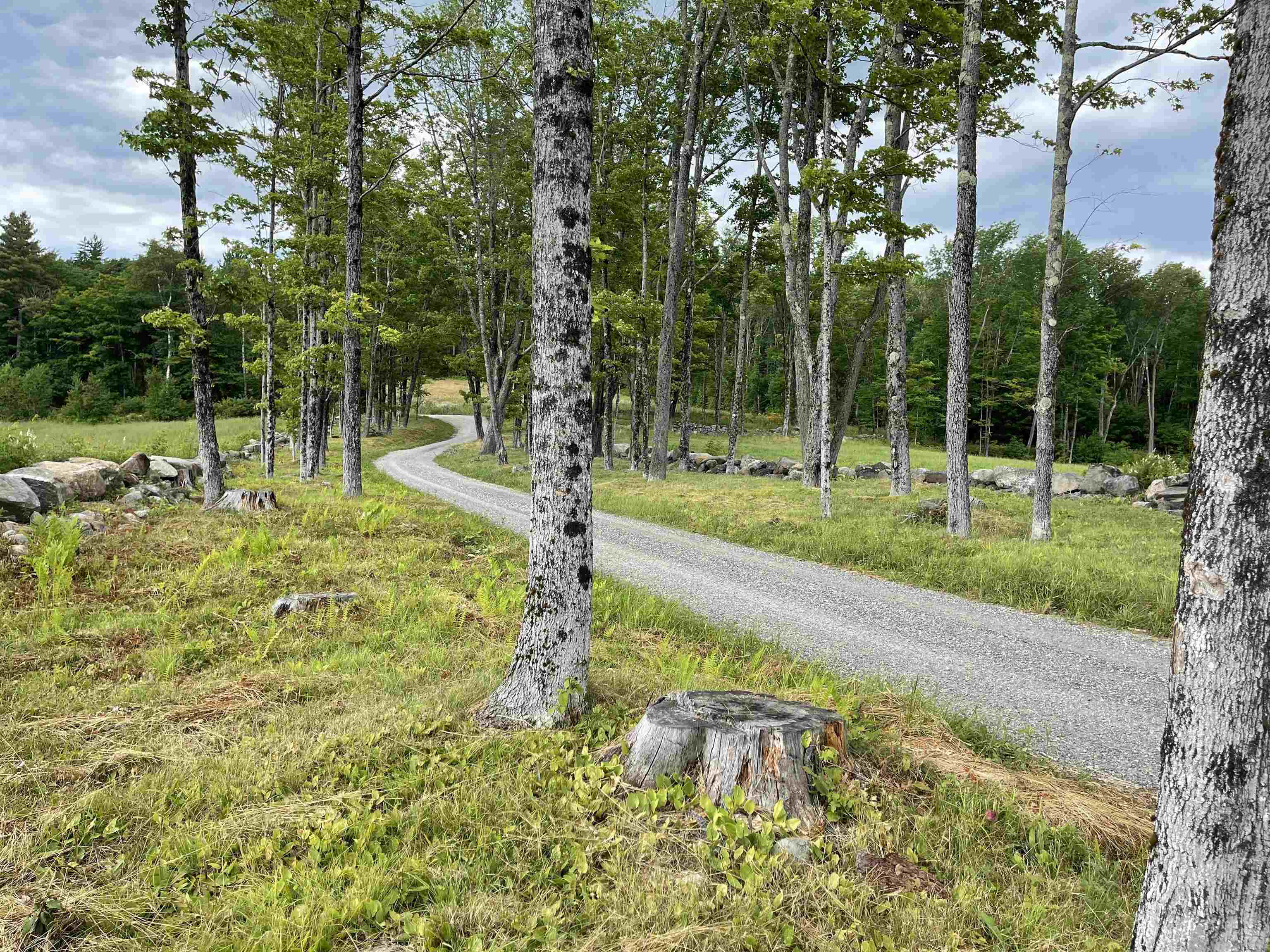 0 Marsh Cross Road Andover, VT 05143 - Photo 5 of 42