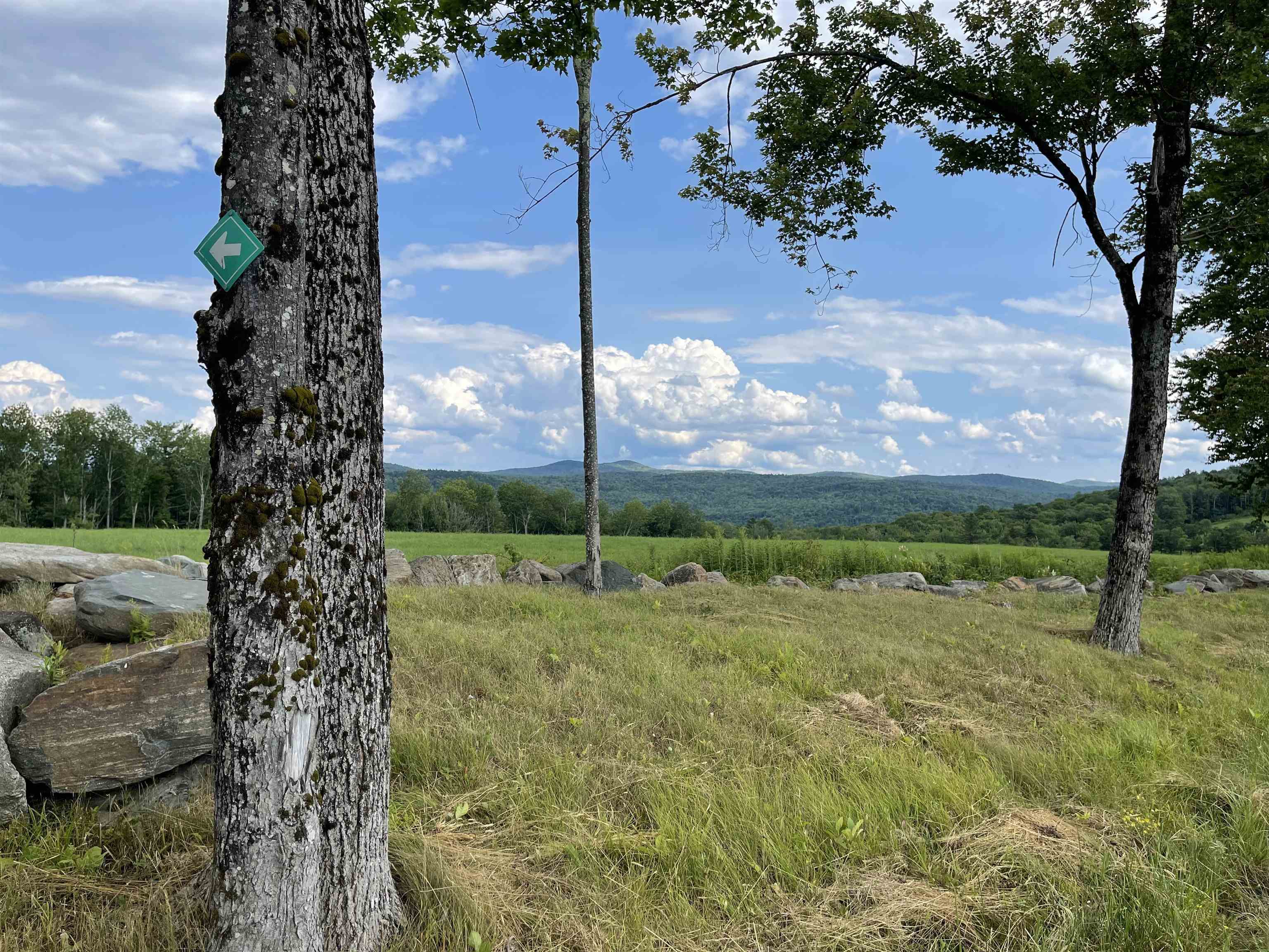 0 Marsh Cross Road Andover, VT 05143 - Photo 6 of 42
