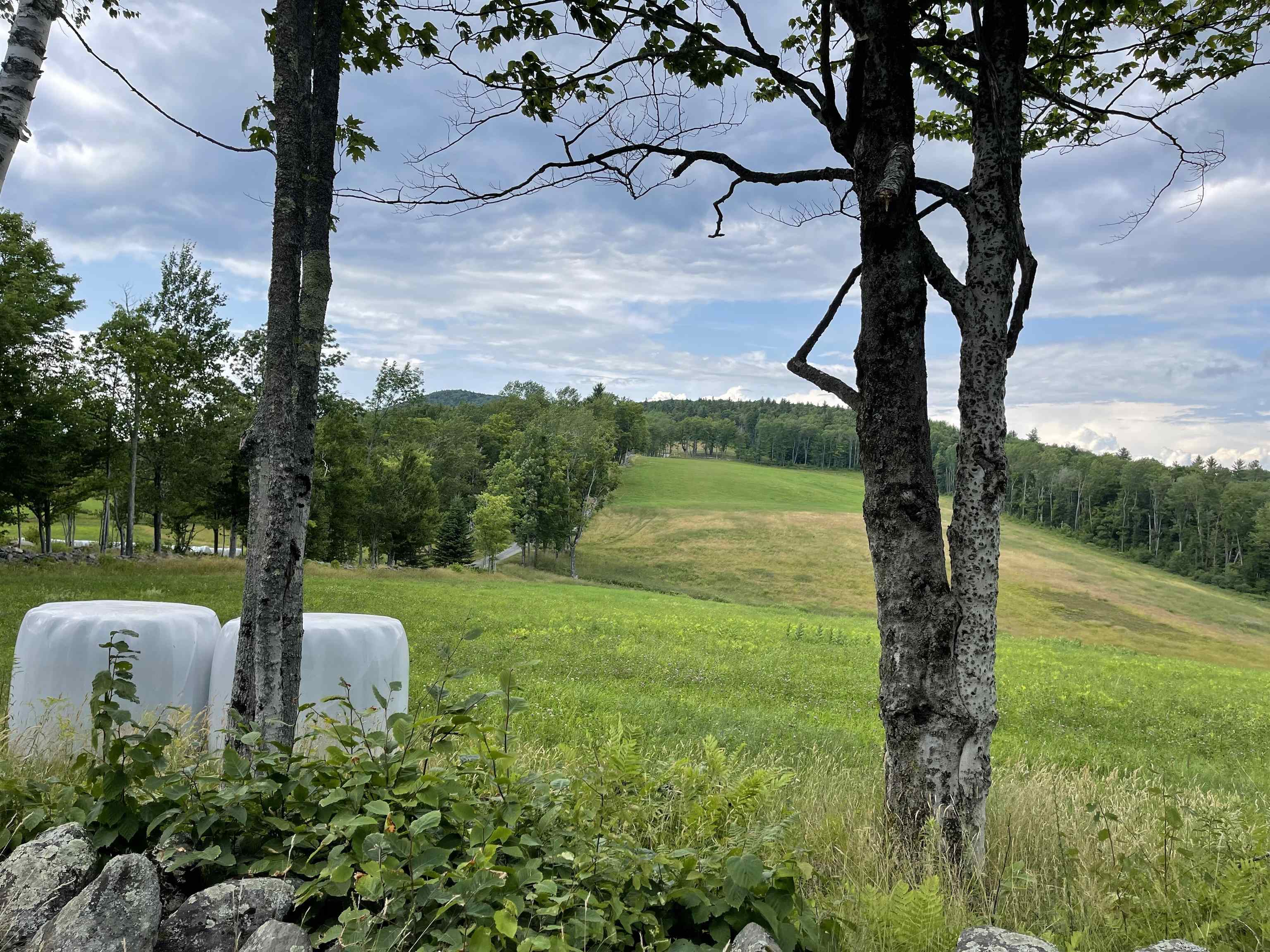 0 Marsh Cross Road Andover, VT 05143 - Photo 7 of 42