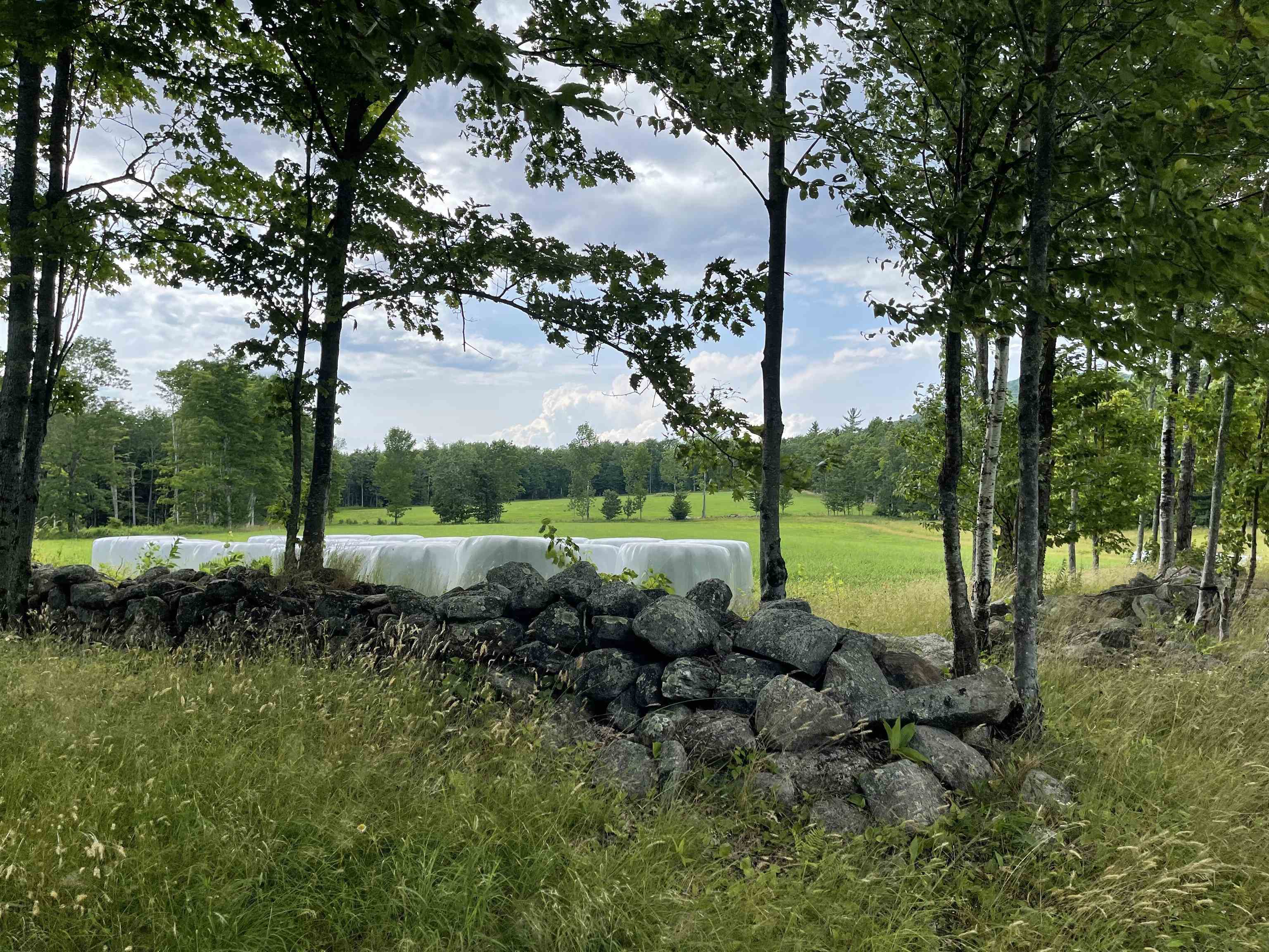 0 Marsh Cross Road Andover, VT 05143 - Photo 8 of 42