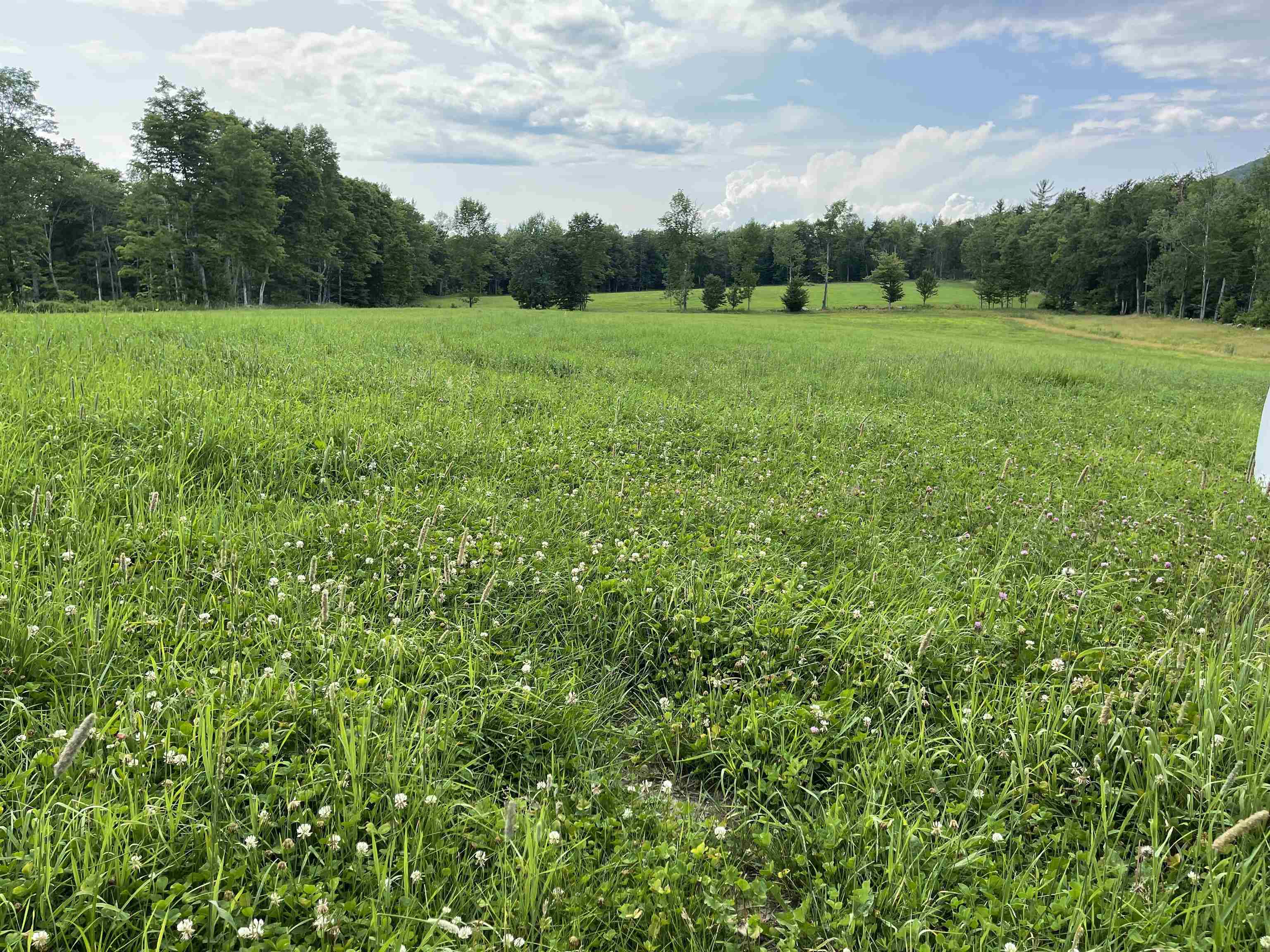 0 Marsh Cross Road Andover, VT 05143 - Photo 9 of 42